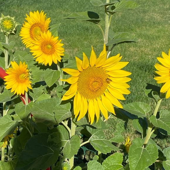 Meet your Posher, Lindsay - Picture 9 of 15